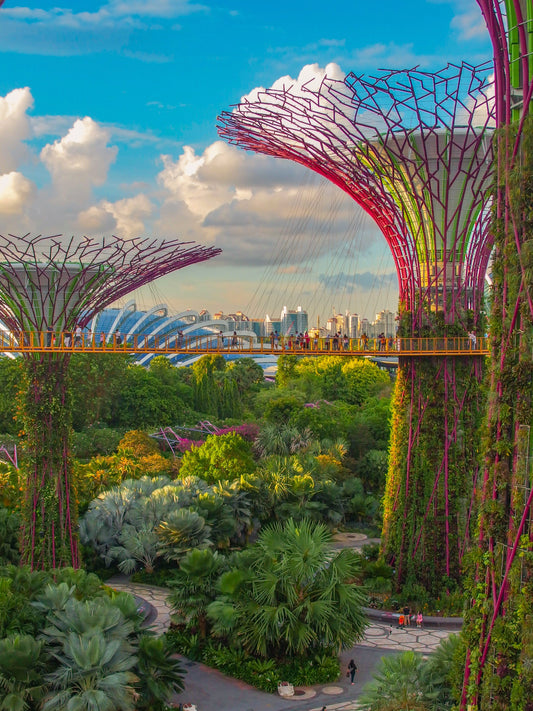 Travel tips for Singapore